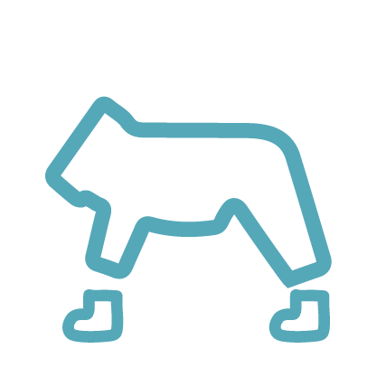 Одежда и обувь