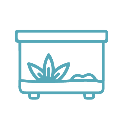 Террариумы